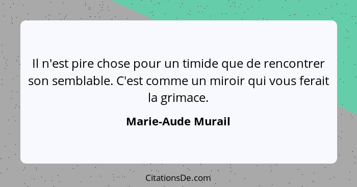 Il n'est pire chose pour un timide que de rencontrer son semblable. C'est comme un miroir qui vous ferait la grimace.... - Marie-Aude Murail