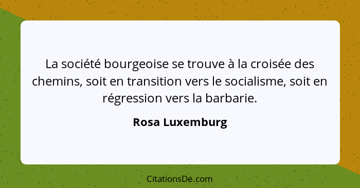La société bourgeoise se trouve à la croisée des chemins, soit en transition vers le socialisme, soit en régression vers la barbarie.... - Rosa Luxemburg