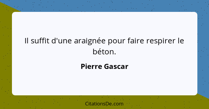 Il suffit d'une araignée pour faire respirer le béton.... - Pierre Gascar