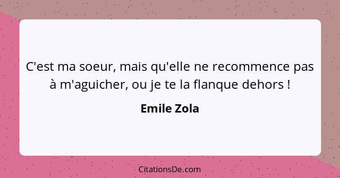 C'est ma soeur, mais qu'elle ne recommence pas à m'aguicher, ou je te la flanque dehors !... - Emile Zola