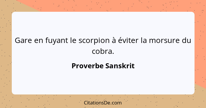 Gare en fuyant le scorpion à éviter la morsure du cobra.... - Proverbe Sanskrit