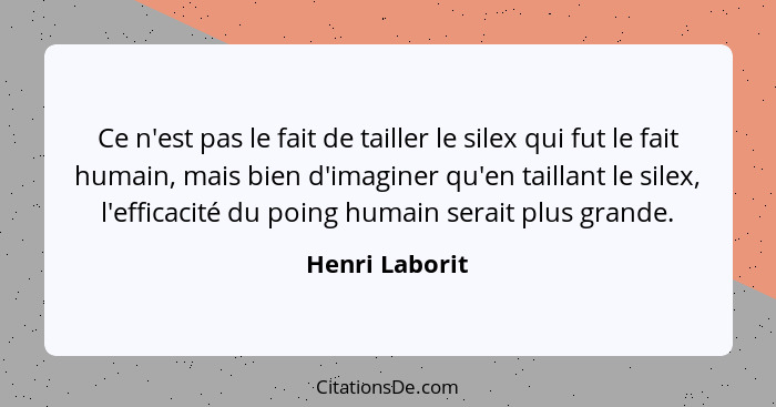 Ce n'est pas le fait de tailler le silex qui fut le fait humain, mais bien d'imaginer qu'en taillant le silex, l'efficacité du poing h... - Henri Laborit