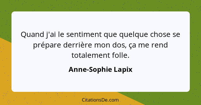 Quand j'ai le sentiment que quelque chose se prépare derrière mon dos, ça me rend totalement folle.... - Anne-Sophie Lapix