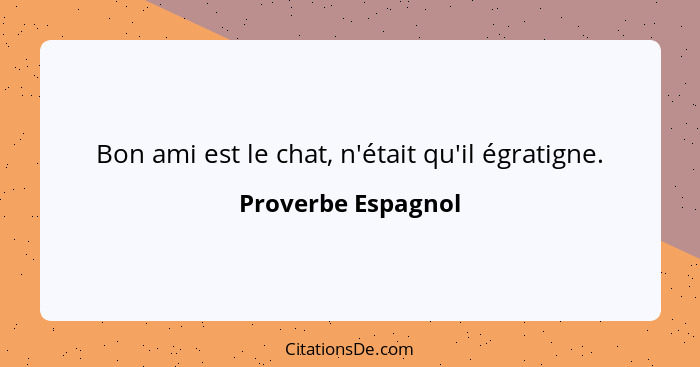 Bon ami est le chat, n'était qu'il égratigne.... - Proverbe Espagnol