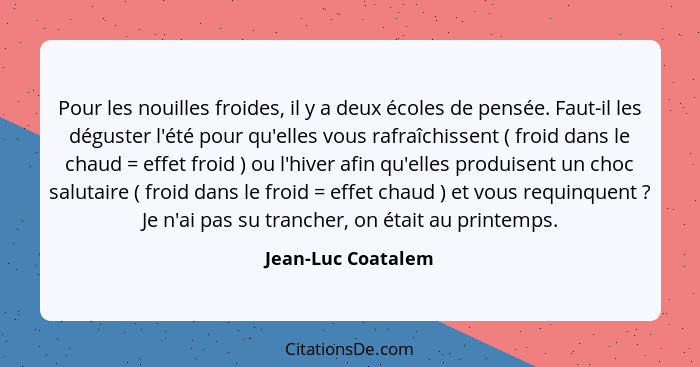 Pour les nouilles froides, il y a deux écoles de pensée. Faut-il les déguster l'été pour qu'elles vous rafraîchissent ( froid dans... - Jean-Luc Coatalem