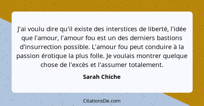 J'ai voulu dire qu'il existe des interstices de liberté, l'idée que l'amour, l'amour fou est un des derniers bastions d'insurrection po... - Sarah Chiche