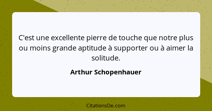 C'est une excellente pierre de touche que notre plus ou moins grande aptitude à supporter ou à aimer la solitude.... - Arthur Schopenhauer
