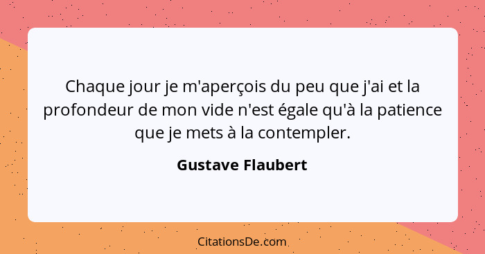 Chaque jour je m'aperçois du peu que j'ai et la profondeur de mon vide n'est égale qu'à la patience que je mets à la contempler.... - Gustave Flaubert