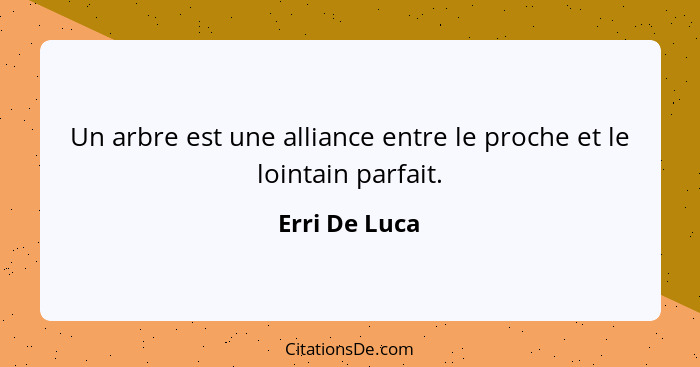 Un arbre est une alliance entre le proche et le lointain parfait.... - Erri De Luca