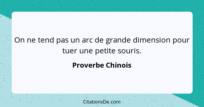 On ne tend pas un arc de grande dimension pour tuer une petite souris.... - Proverbe Chinois