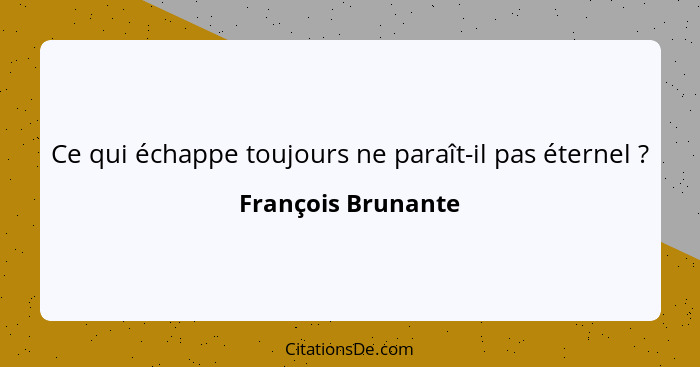 Ce qui échappe toujours ne paraît-il pas éternel ?... - François Brunante