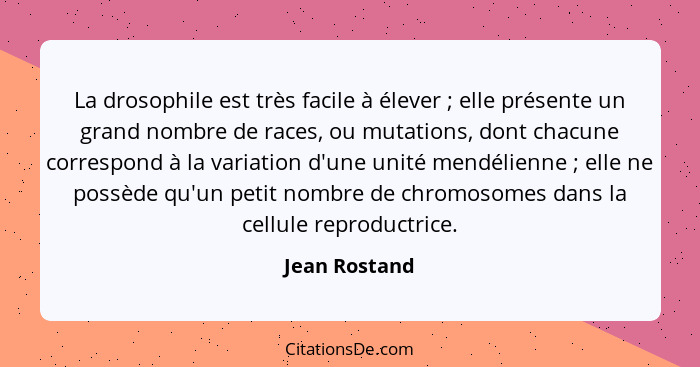 La drosophile est très facile à élever ; elle présente un grand nombre de races, ou mutations, dont chacune correspond à la variat... - Jean Rostand