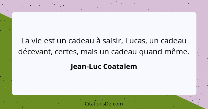 La vie est un cadeau à saisir, Lucas, un cadeau décevant, certes, mais un cadeau quand même.... - Jean-Luc Coatalem