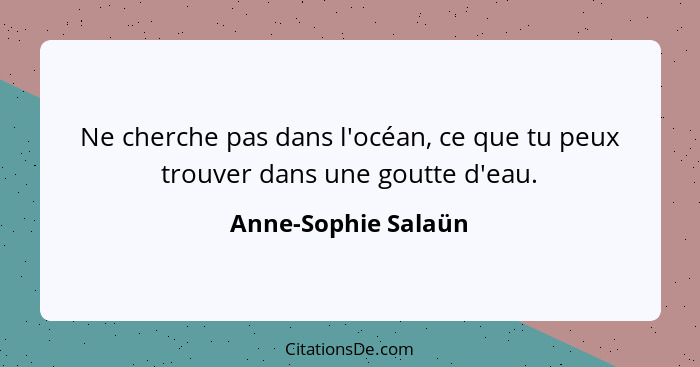 Ne cherche pas dans l'océan, ce que tu peux trouver dans une goutte d'eau.... - Anne-Sophie Salaün