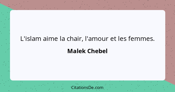 L'islam aime la chair, l'amour et les femmes.... - Malek Chebel