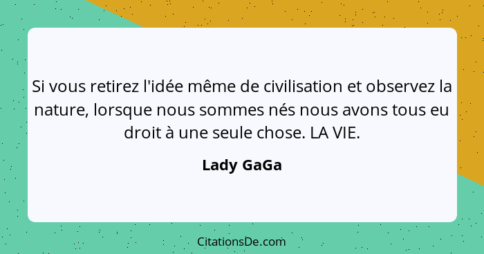 Si vous retirez l'idée même de civilisation et observez la nature, lorsque nous sommes nés nous avons tous eu droit à une seule chose. LA... - Lady GaGa