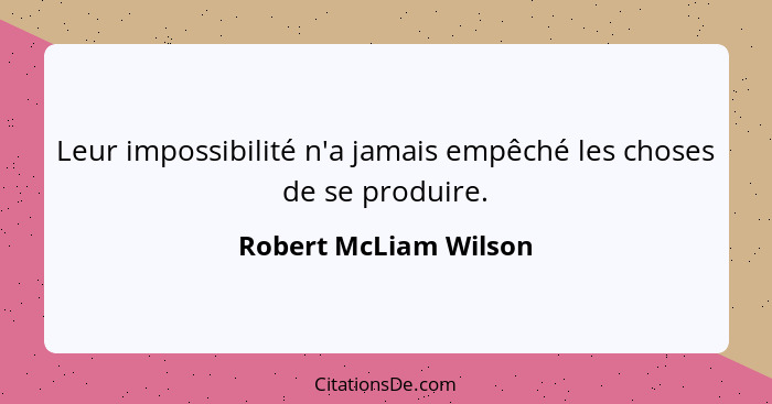 Leur impossibilité n'a jamais empêché les choses de se produire.... - Robert McLiam Wilson