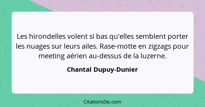 Les hirondelles volent si bas qu'elles semblent porter les nuages sur leurs ailes. Rase-motte en zigzags pour meeting aérien au... - Chantal Dupuy-Dunier