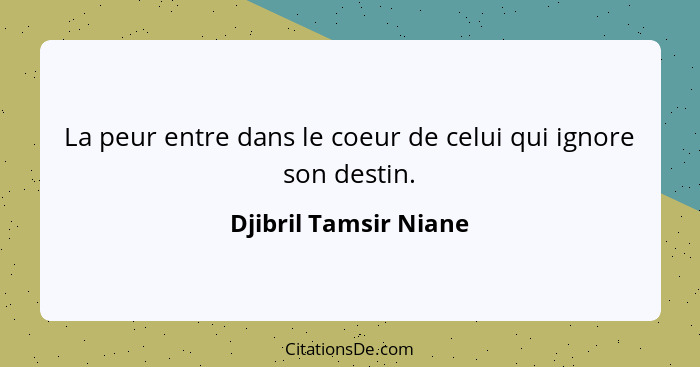 La peur entre dans le coeur de celui qui ignore son destin.... - Djibril Tamsir Niane