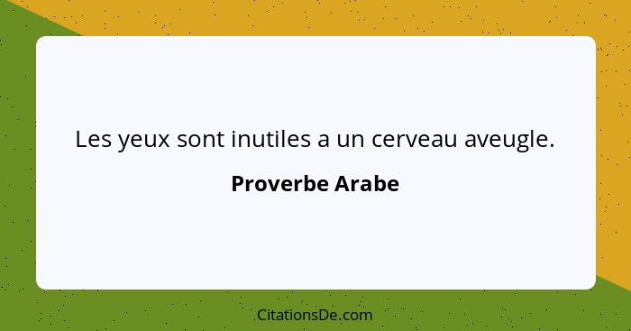 Les yeux sont inutiles a un cerveau aveugle.... - Proverbe Arabe