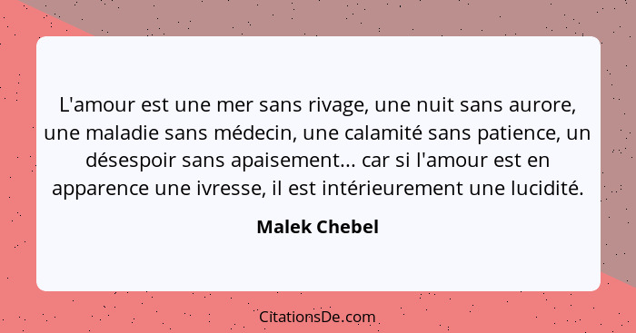 L'amour est une mer sans rivage, une nuit sans aurore, une maladie sans médecin, une calamité sans patience, un désespoir sans apaiseme... - Malek Chebel