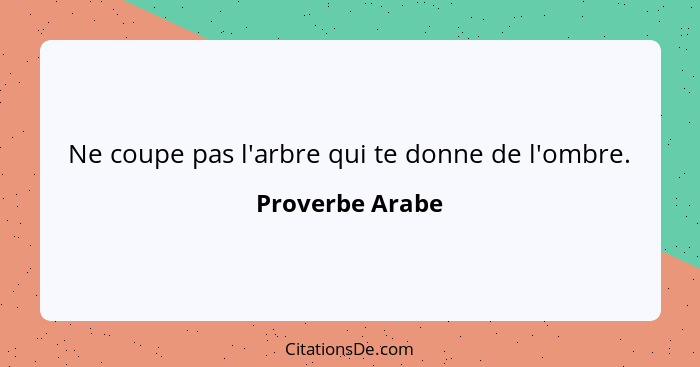 Ne coupe pas l'arbre qui te donne de l'ombre.... - Proverbe Arabe