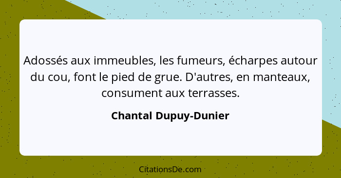 Adossés aux immeubles, les fumeurs, écharpes autour du cou, font le pied de grue. D'autres, en manteaux, consument aux terrasse... - Chantal Dupuy-Dunier