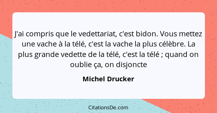 J'ai compris que le vedettariat, c'est bidon. Vous mettez une vache à la télé, c'est la vache la plus célèbre. La plus grande vedette... - Michel Drucker
