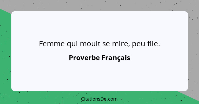 Femme qui moult se mire, peu file.... - Proverbe Français