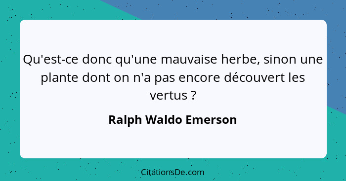 Qu'est-ce donc qu'une mauvaise herbe, sinon une plante dont on n'a pas encore découvert les vertus ?... - Ralph Waldo Emerson