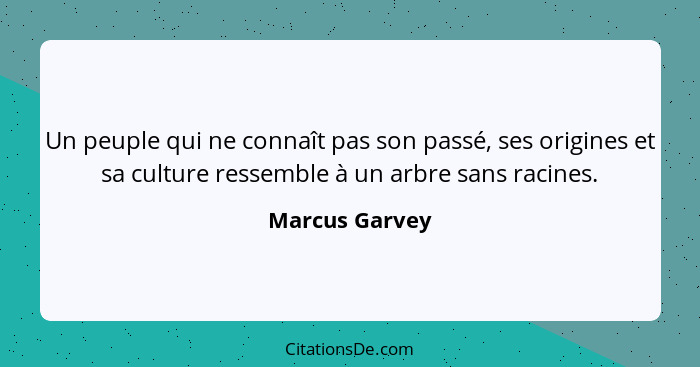 Un peuple qui ne connaît pas son passé, ses origines et sa culture ressemble à un arbre sans racines.... - Marcus Garvey