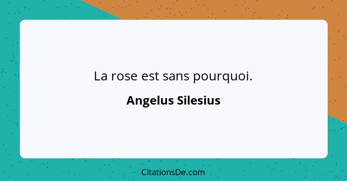 La rose est sans pourquoi.... - Angelus Silesius