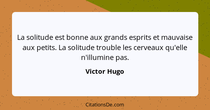 La solitude est bonne aux grands esprits et mauvaise aux petits. La solitude trouble les cerveaux qu'elle n'illumine pas.... - Victor Hugo