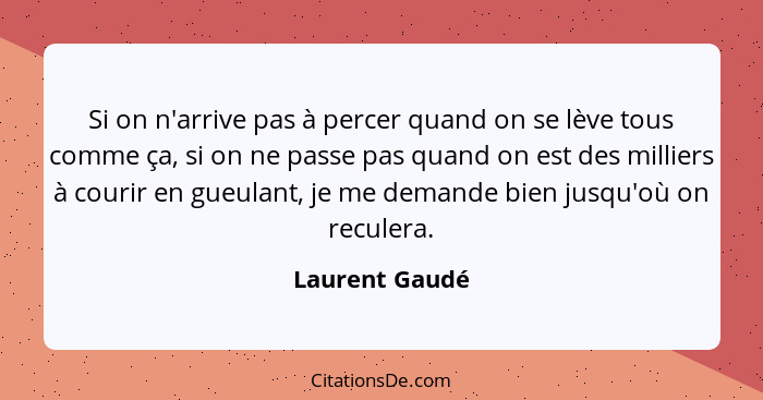 Si on n'arrive pas à percer quand on se lève tous comme ça, si on ne passe pas quand on est des milliers à courir en gueulant, je me d... - Laurent Gaudé