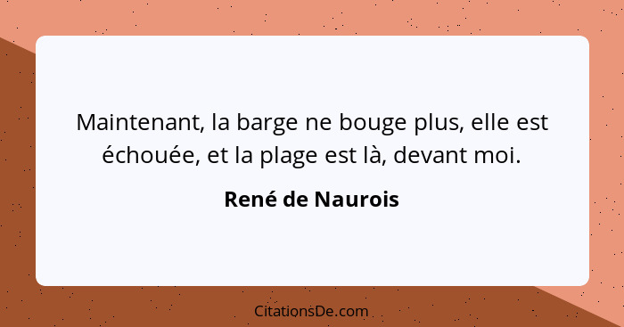 Maintenant, la barge ne bouge plus, elle est échouée, et la plage est là, devant moi.... - René de Naurois