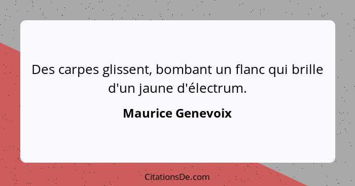 Des carpes glissent, bombant un flanc qui brille d'un jaune d'électrum.... - Maurice Genevoix