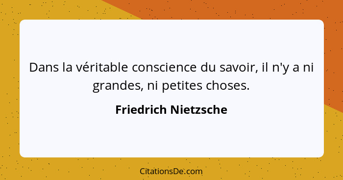 Dans la véritable conscience du savoir, il n'y a ni grandes, ni petites choses.... - Friedrich Nietzsche