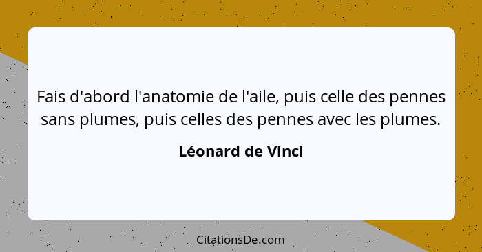 Fais d'abord l'anatomie de l'aile, puis celle des pennes sans plumes, puis celles des pennes avec les plumes.... - Léonard de Vinci