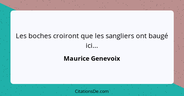 Les boches croiront que les sangliers ont baugé ici...... - Maurice Genevoix