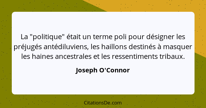 La "politique" était un terme poli pour désigner les préjugés antédiluviens, les haillons destinés à masquer les haines ancestra... - Joseph O'Connor