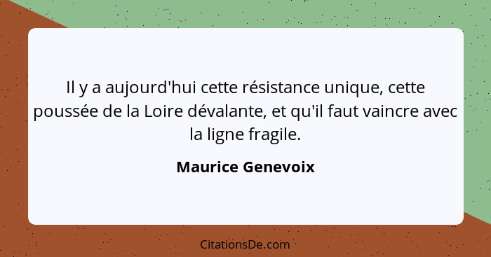 Il y a aujourd'hui cette résistance unique, cette poussée de la Loire dévalante, et qu'il faut vaincre avec la ligne fragile.... - Maurice Genevoix