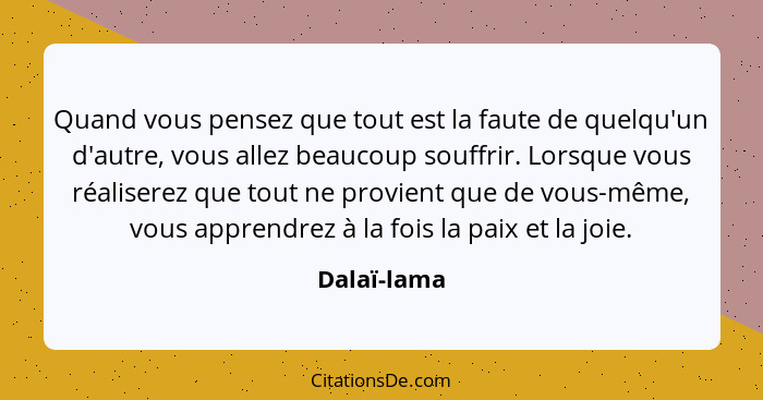 Quand vous pensez que tout est la faute de quelqu'un d'autre, vous allez beaucoup souffrir. Lorsque vous réaliserez que tout ne provient... - Dalaï-lama