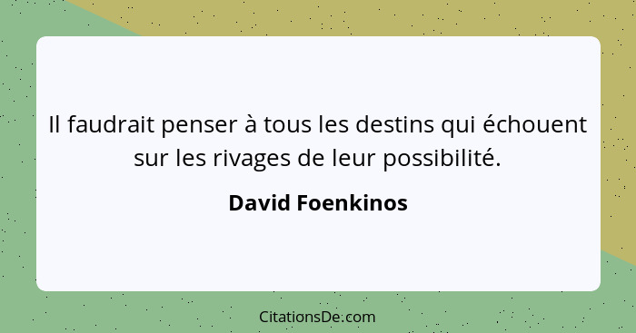 Il faudrait penser à tous les destins qui échouent sur les rivages de leur possibilité.... - David Foenkinos