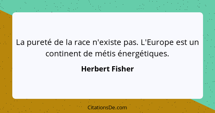 La pureté de la race n'existe pas. L'Europe est un continent de métis énergétiques.... - Herbert Fisher