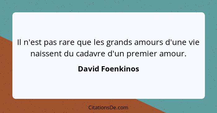 Il n'est pas rare que les grands amours d'une vie naissent du cadavre d'un premier amour.... - David Foenkinos