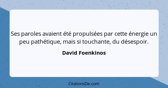 Ses paroles avaient été propulsées par cette énergie un peu pathétique, mais si touchante, du désespoir.... - David Foenkinos