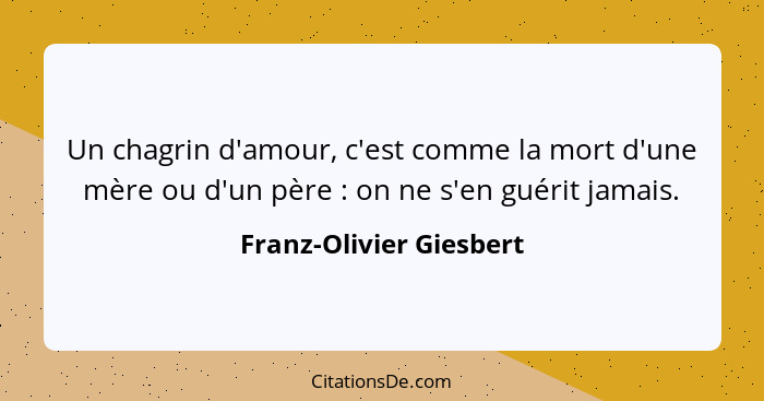 Un chagrin d'amour, c'est comme la mort d'une mère ou d'un père : on ne s'en guérit jamais.... - Franz-Olivier Giesbert