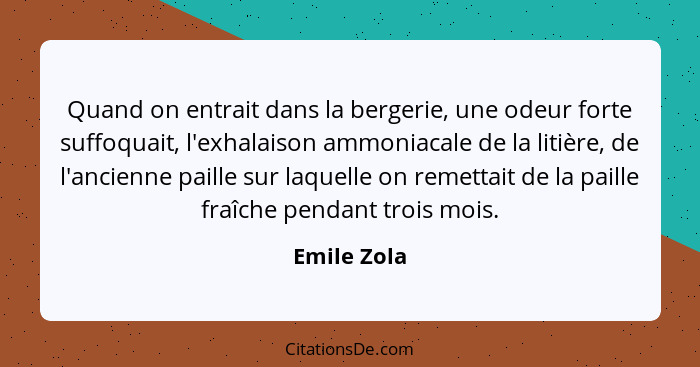 Quand on entrait dans la bergerie, une odeur forte suffoquait, l'exhalaison ammoniacale de la litière, de l'ancienne paille sur laquelle... - Emile Zola