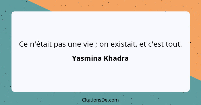 Ce n'était pas une vie ; on existait, et c'est tout.... - Yasmina Khadra