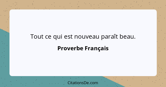 Tout ce qui est nouveau paraît beau.... - Proverbe Français